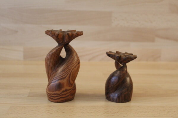 Baobab en bois